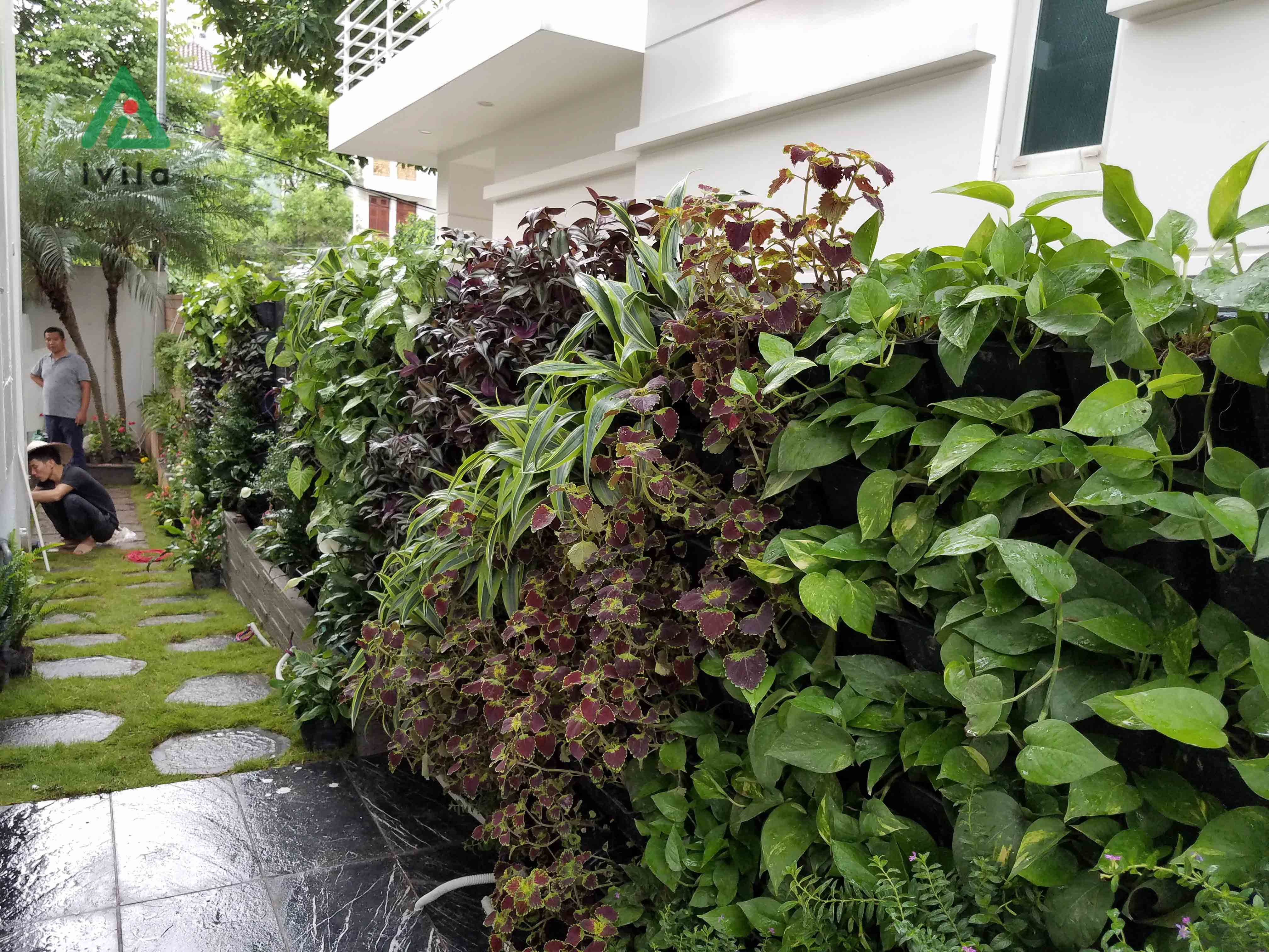 Sân vườn Vườn Đào Tây Hồ