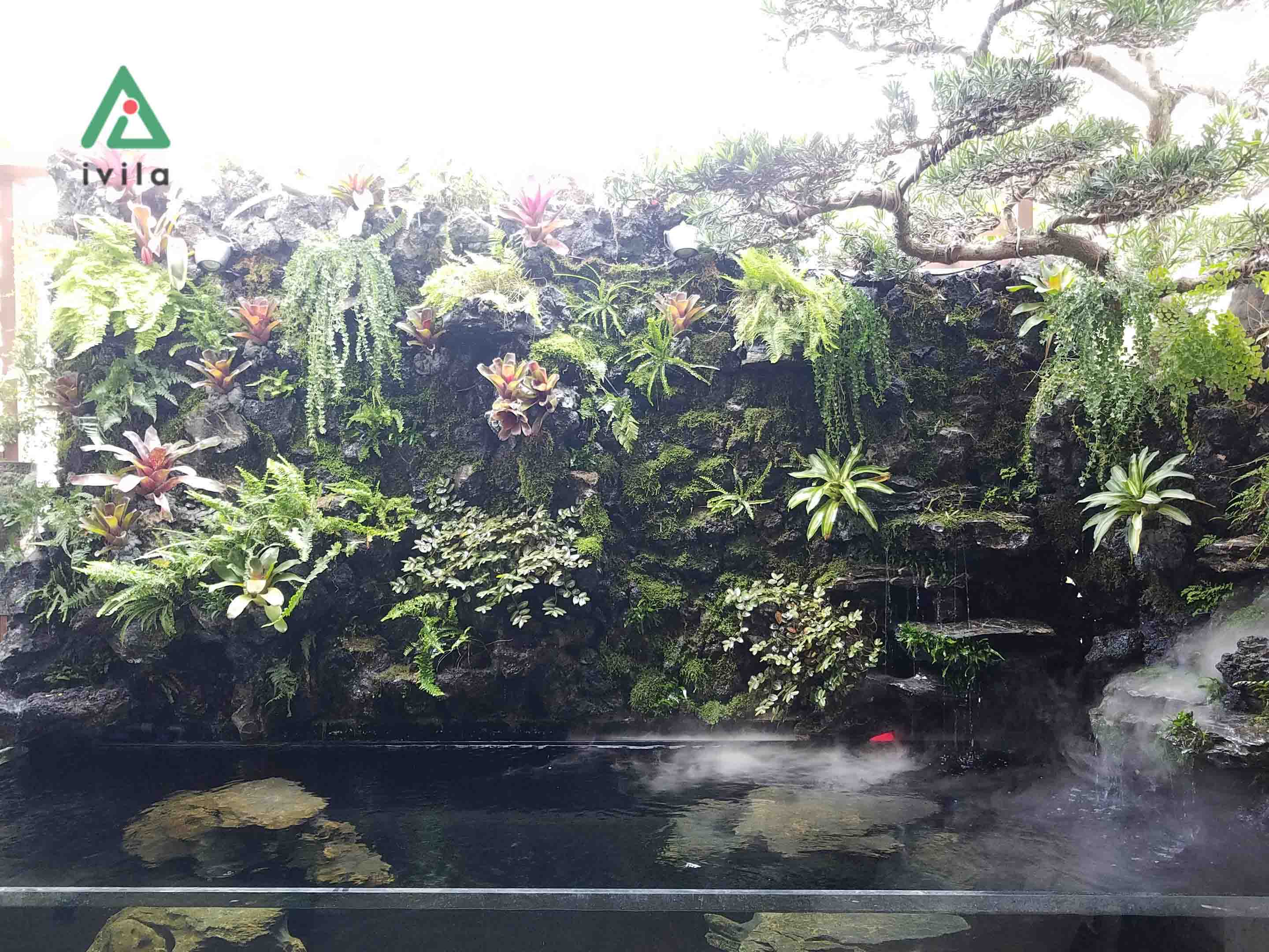 Tiểu cảnh tại Splendora