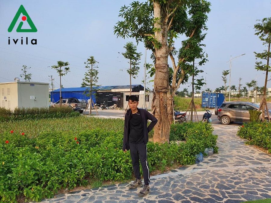 Thi công tưới phố núi
