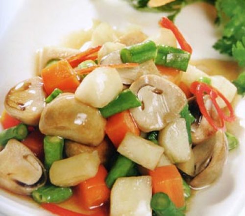 kỹ thuật trồng nấm sò tại nhà