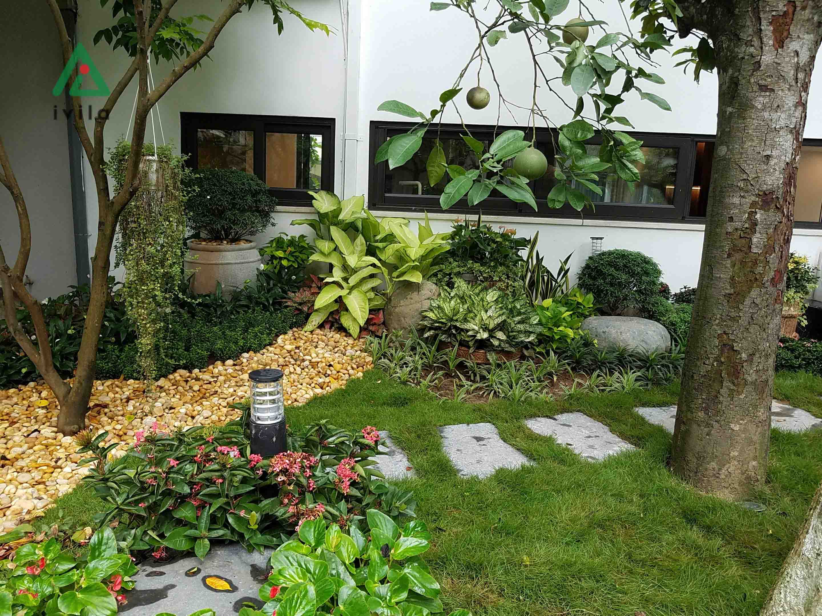 Sân vườn nhà ống và cách thiết kế phù hợp - Vina Vườn
